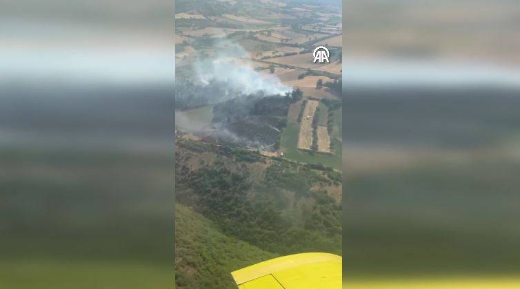 Balıkesir'de orman yangını! Karadan ve havadan müdahale ediliyor 2
